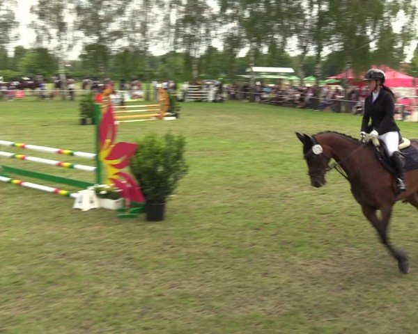 Reitturnier Hille 2024