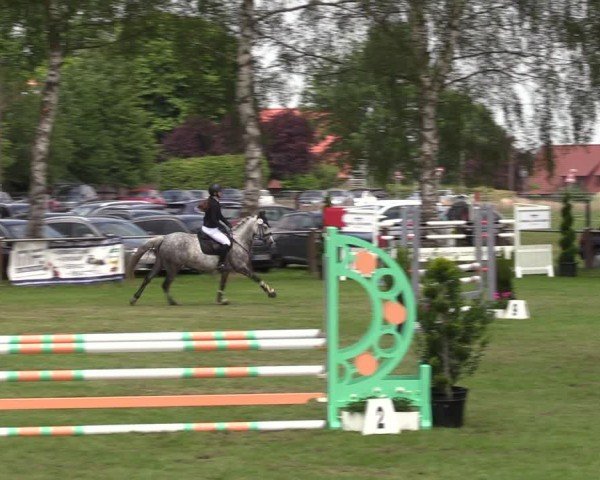 Reitturnier Hille 2024