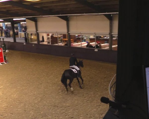 Reitturnier Legden 2021