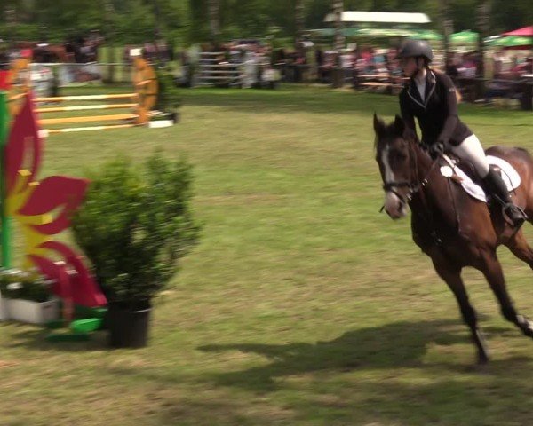 Reitturnier Hille 2024