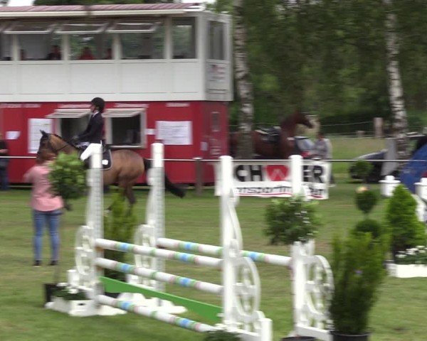Reitturnier Hille 2024