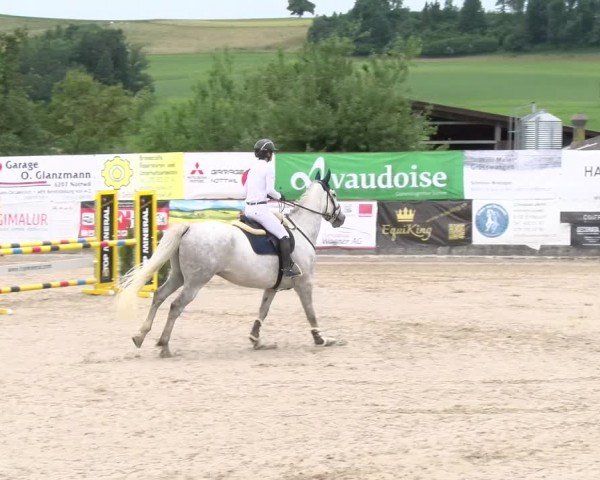 Reitturnier Ruswil 2024
