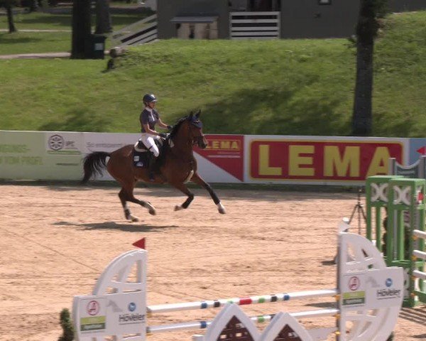 Reitturnier Stadl-Paura 2024