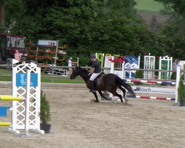 Reitturnier Ruswil 2024