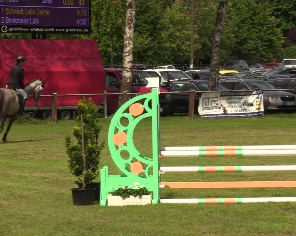 Reitturnier Hille 2024