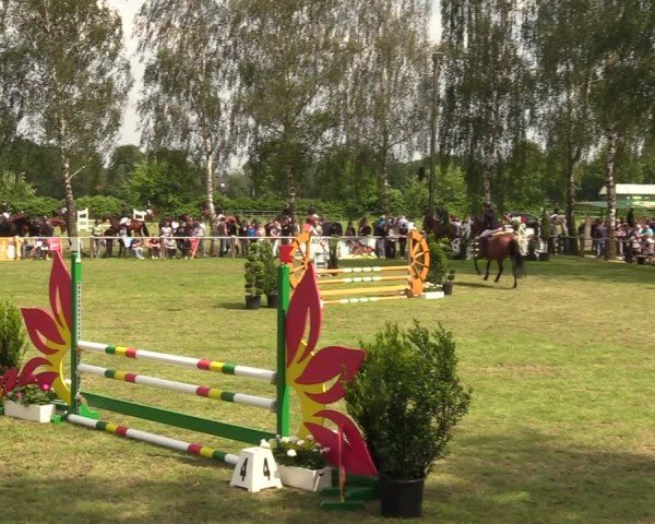 Reitturnier Hille 2024