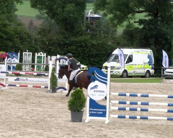 Reitturnier Ruswil 2024