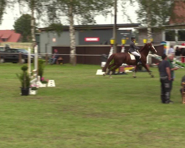 Reitturnier Hille 2024