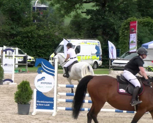 Reitturnier Ruswil 2024