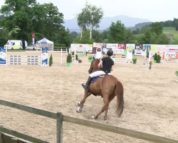 Reitturnier Ruswil 2024