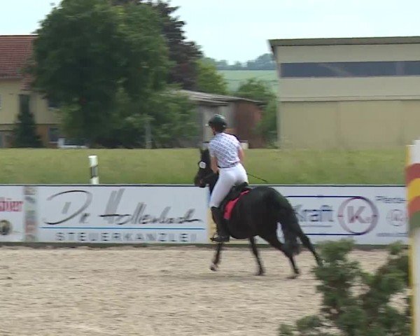 Reitturnier Rot am See- Musdorf 2024