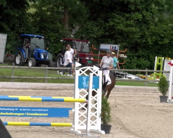 Reitturnier Ruswil 2024