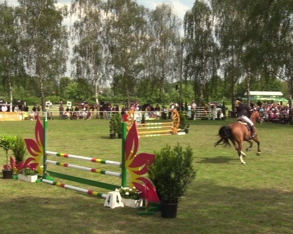 Reitturnier Hille 2024
