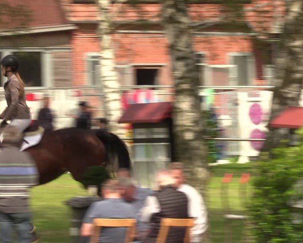 Reitturnier Hille 2024