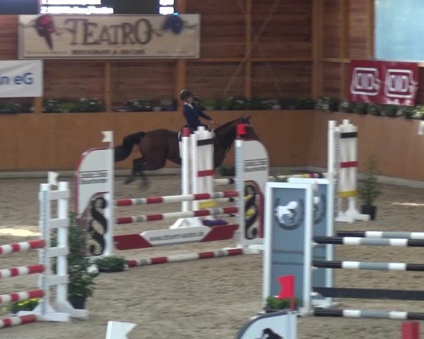 Springturnier Xanten - Reitanlage Miss 2021