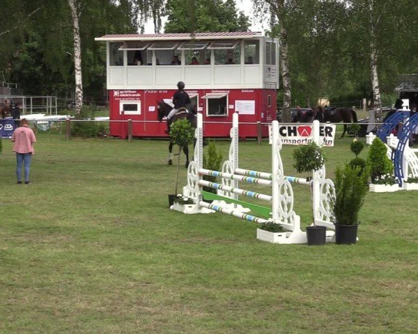 Reitturnier Hille 2024