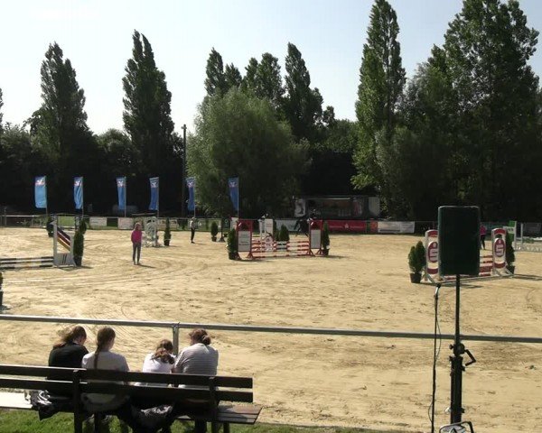 Reitturnier Oelde 2024