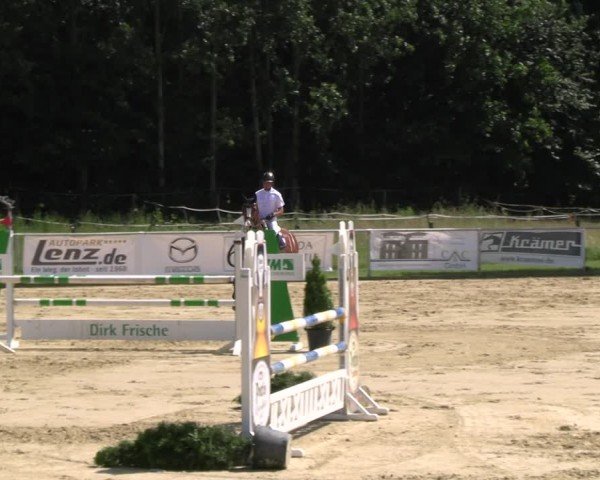 Reitturnier Oelde 2024