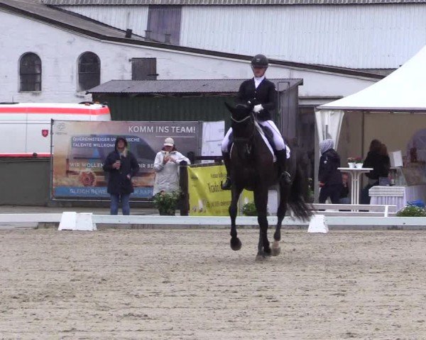 Reitturnier Sörup 2024