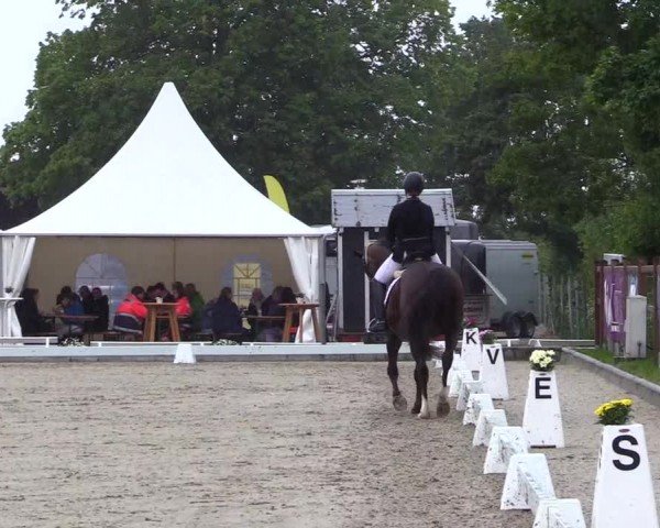 Reitturnier Sörup 2024
