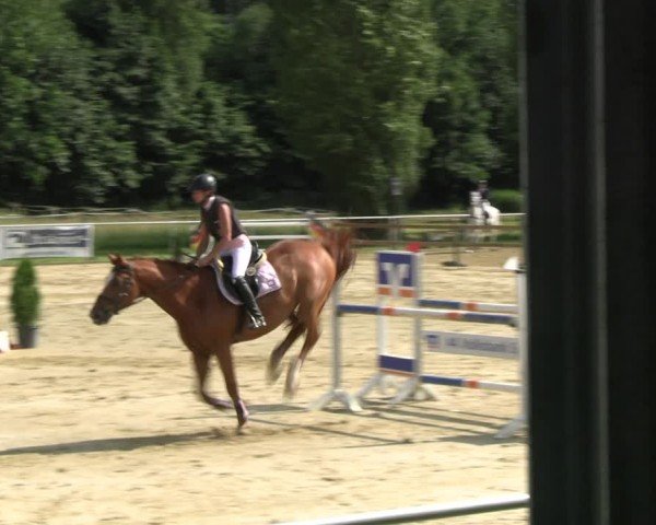 Reitturnier Oelde 2024
