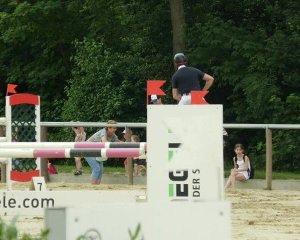 Reitturnier Winnenden 2024