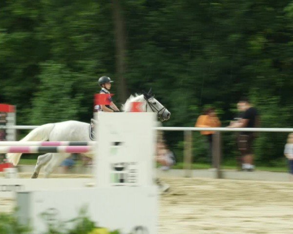 Reitturnier Winnenden 2024