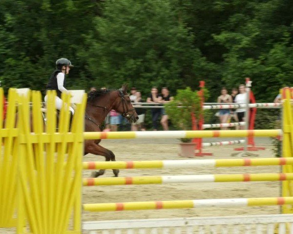 Reitturnier Winnenden 2024