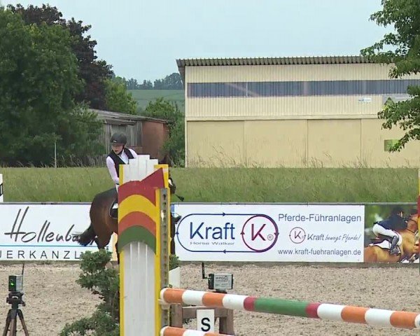 Reitturnier Rot am See- Musdorf 2024
