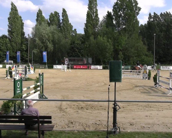 Reitturnier Oelde 2024