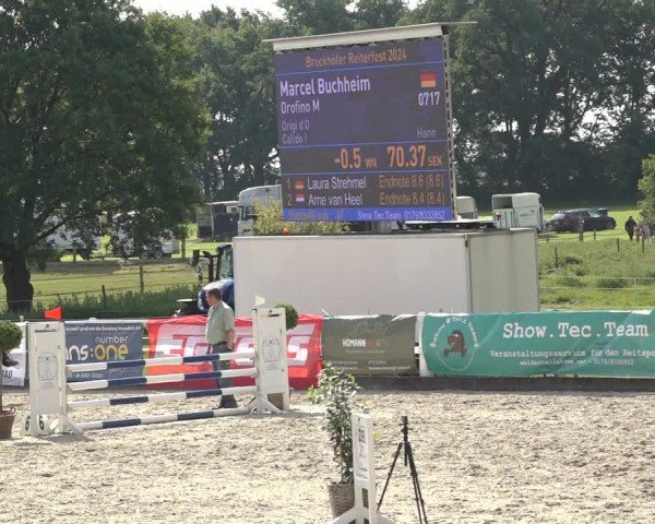 Reitturnier Brockhöfe 2024