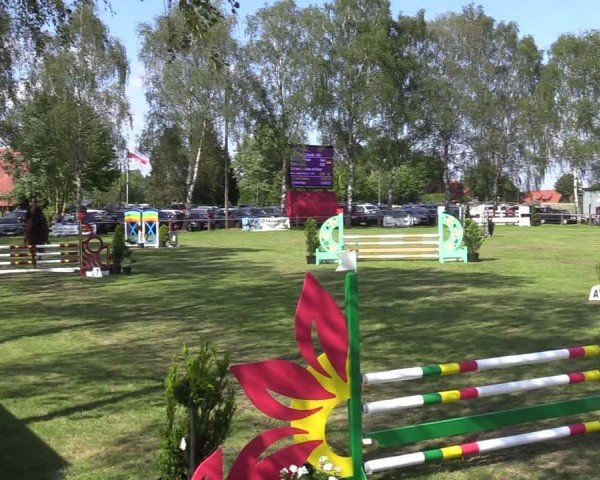 Reitturnier Hille 2024