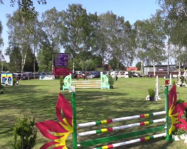 Reitturnier Hille 2024