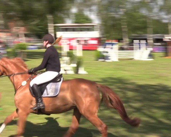 Reitturnier Hille 2024