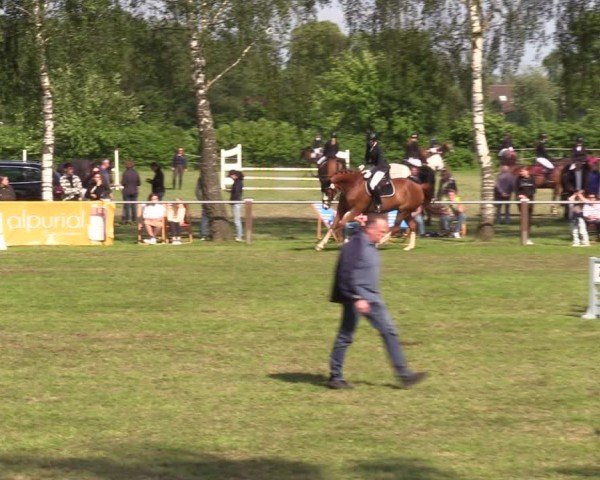 Reitturnier Hille 2024