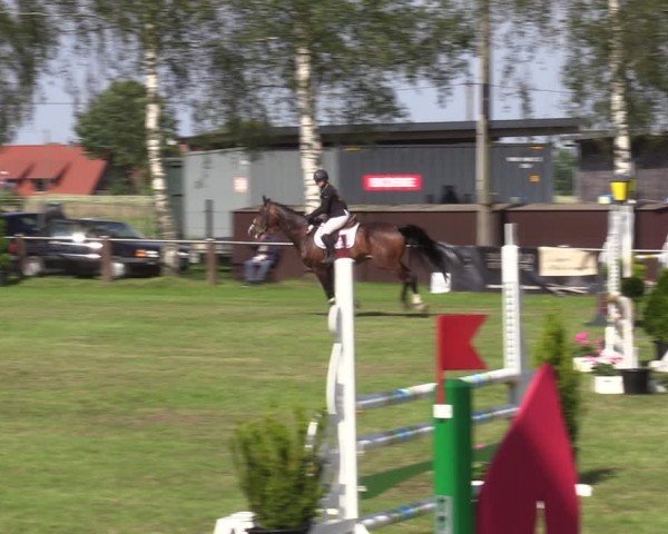 Reitturnier Hille 2024