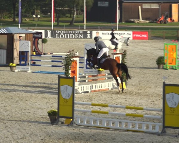 Reitturnier Westergellersen 2021