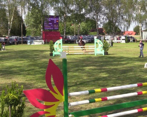 Reitturnier Hille 2024
