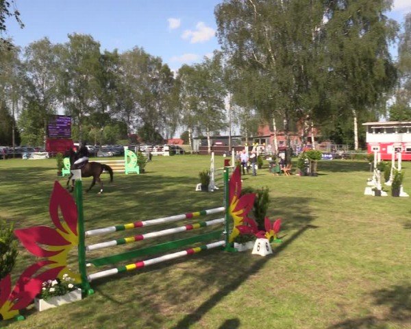 Reitturnier Hille 2024
