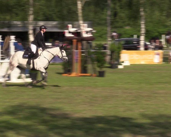 Reitturnier Hille 2024