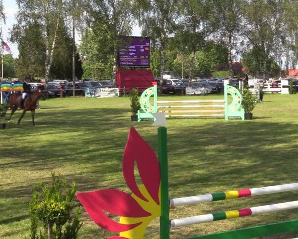 Reitturnier Hille 2024