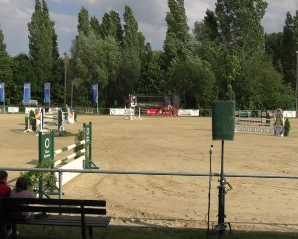 Reitturnier Oelde 2024