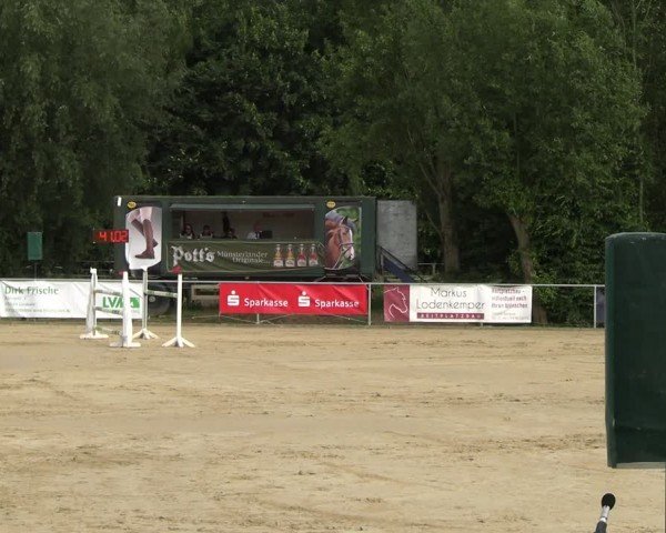 Reitturnier Oelde 2024