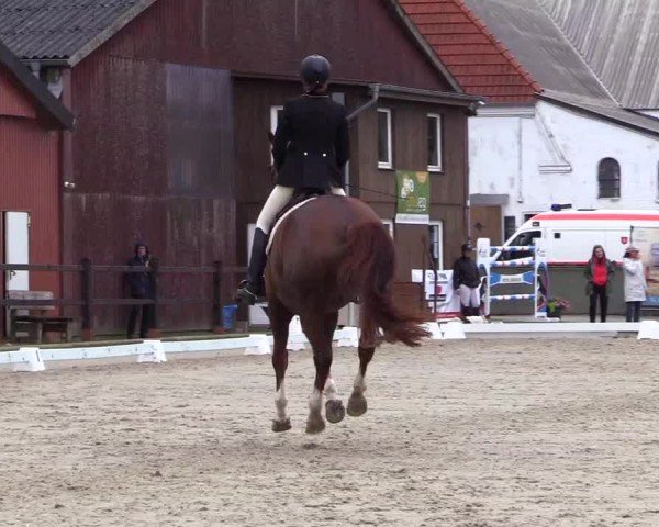 Reitturnier Sörup 2024