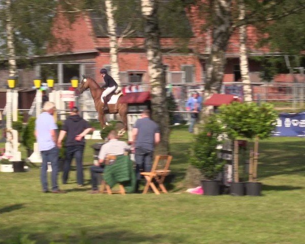 Reitturnier Hille 2024