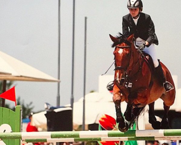 horse Kleber (Selle Français, 1998, from Cacao Courcelle)
