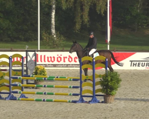 Reitturnier Westergellersen 2021