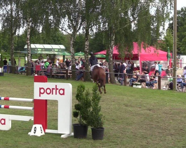 Reitturnier Hille 2024