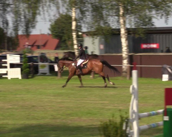 Reitturnier Hille 2024