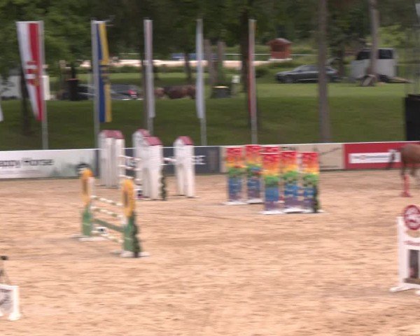 Reitturnier Stadl-Paura 2024